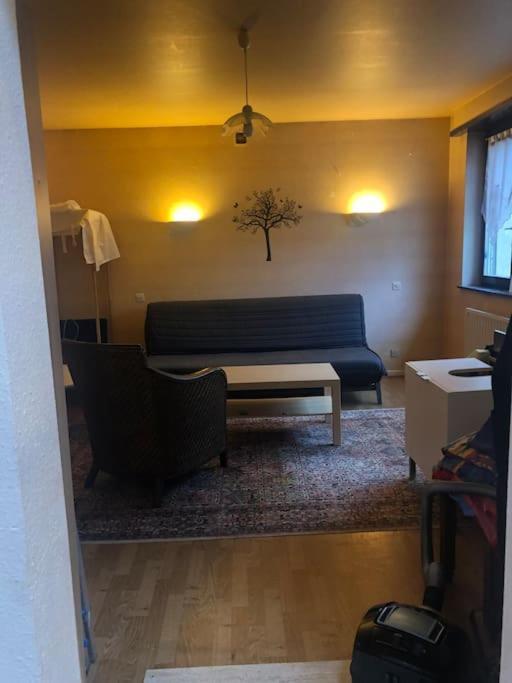 Maison De Village Pres De Colmar De 90 M2 Horbourg Kültér fotó